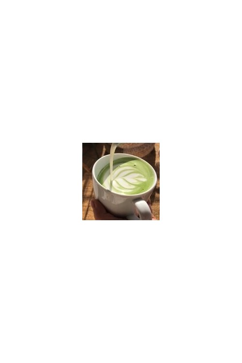 Matcha Bros - Traditional Matcha 50g